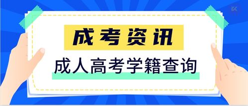 學(xué)籍查詢與教育信息咨詢 一站式解決您的教育信息需求